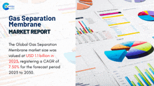 a gas separation membrane market report with a pie chart