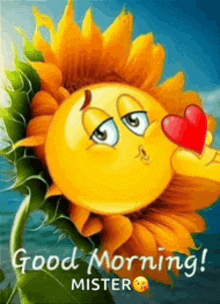 a smiley face is kissing a sunflower with a red heart and the words good morning mister