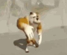 a blurred image of a dog with arms and legs