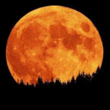 a full orange moon is rising over a forest