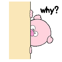 a pig is peeking over a wall and asking why .