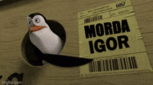 a penguin is sticking its head out of a hole next to a sticker that says morda igor