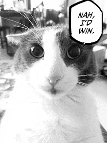 a black and white photo of a cat with a speech bubble saying nah , i 'd win .