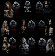 a collage of images with the words house of gothic