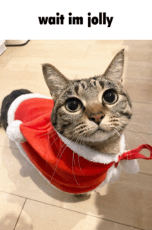 a cat wearing a santa hat and cape with the words wait im jolly above it