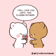 a cartoon of a teddy bear giving another teddy bear a flower