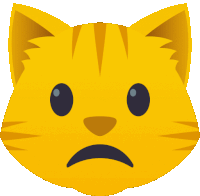 a cat with a sad face on its face