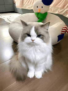 a fluffy cat sitting next to a stuffed snowman pillow