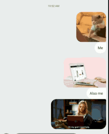 a screenshot of a text message between a woman and a cat