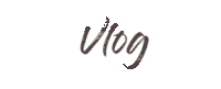 the word vlog is written in black on a white background with a brush stroke .