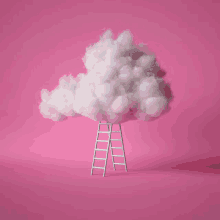 a pink cloud with a ladder going up to it