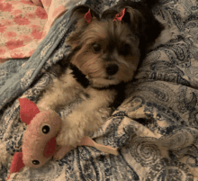 a small dog is laying on a bed with a stuffed animal in its paws