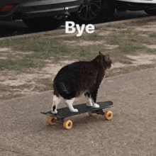 a cat is riding a skateboard with the word bye written on it