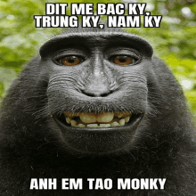 a picture of a monkey with the words dit me bac ky trung ky nam ky