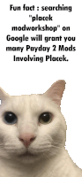 a picture of a cat with the words fun fact searching placek modworkshop on google will grant you many payday 2 mods involving placek below