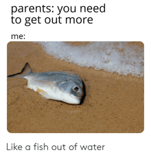 a dead fish is laying on the sand near the ocean