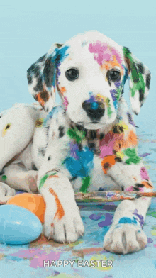 a dalmatian puppy is laying on a table with easter eggs in the background