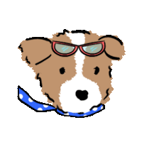 a brown and white dog wearing sunglasses and a blue and white tie