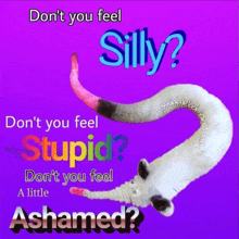 a picture of a stuffed animal with the words " don t you feel silly " on it