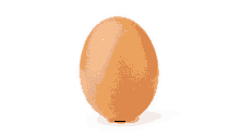 a brown egg on a white background that looks like a sphere