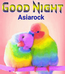 two rainbow colored birds kissing on a branch with the words good night asiarock above them