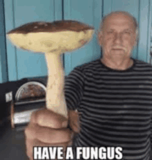 a man in a striped shirt is holding a mushroom in his hand .