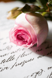 a pink rose sits on top of a piece of paper that says ' telle fleur ' on it