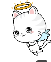 a cat with wings and a halo on its head