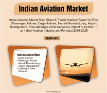 an advertisement for the indian aviation market with a picture of a plane