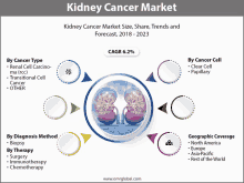 a kidney cancer market size share trends and forecast from 2018 to 2023