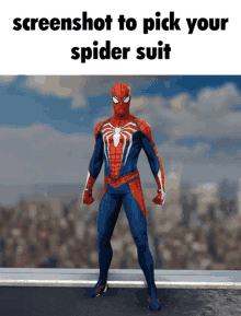 a screenshot of a spider suit with the words screenshot to pick your spider suit below it