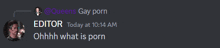 a screenshot of a conversation between queens gay porn and the editor