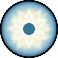 a circle with a blue circle in the middle