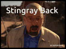 a picture of a man with the words stingray back