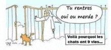 a cartoon of a man talking to a cat with the words tu rentres oui ou merde on the bottom