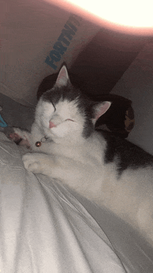 a black and white cat laying on a bed with a fortnite shirt in the background