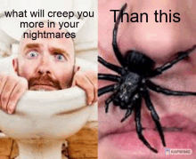 a man in a toilet next to a black spider with the caption what will creep you more in your nightmares