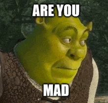 shrek from the movie shrek is making a funny face and saying `` are you mad '' .