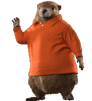 a beaver wearing an orange polo shirt is waving at the camera