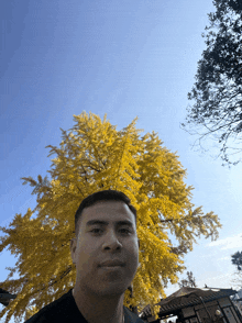 a man stands in front of a tree that has yellow leaves