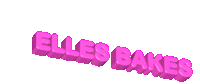 a 3d rendering of the word elles bakes on a white background