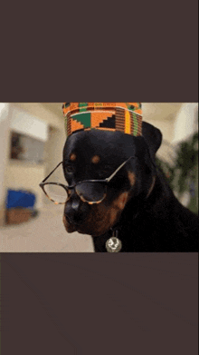 a close up of a dog wearing glasses and a crown on its head