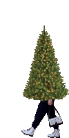 a person is walking with a christmas tree in front of their head