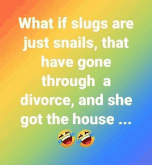 what if slugs are just snails , that have gone through a divorce , and she got the house ...