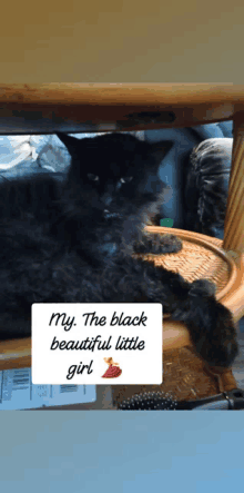 a black cat is laying on a wicker chair with a sign that says my the black beautiful little girl