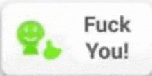 a white button with a green face and the words `` fuck you '' .