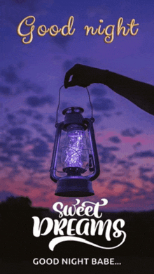 a person holding a lantern with the words good night sweet dreams below it