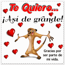 a cartoon meerkat is surrounded by red hearts and the words te quiero