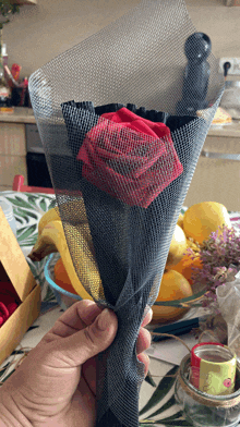 a person is holding a red rose in a black net