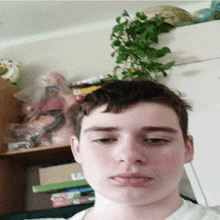 a young man takes a selfie in front of a shelf full of toys and a plant